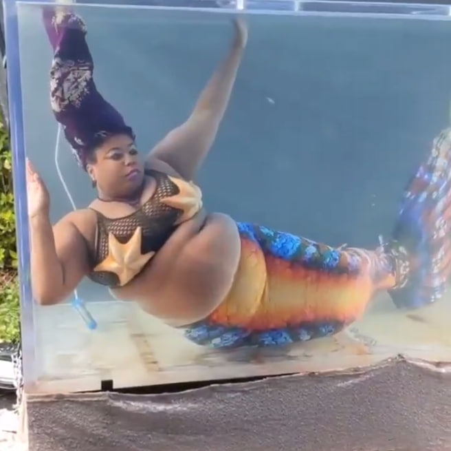 image-40 人魚を見てみてください どれがお好きですか？ へへへへ～～